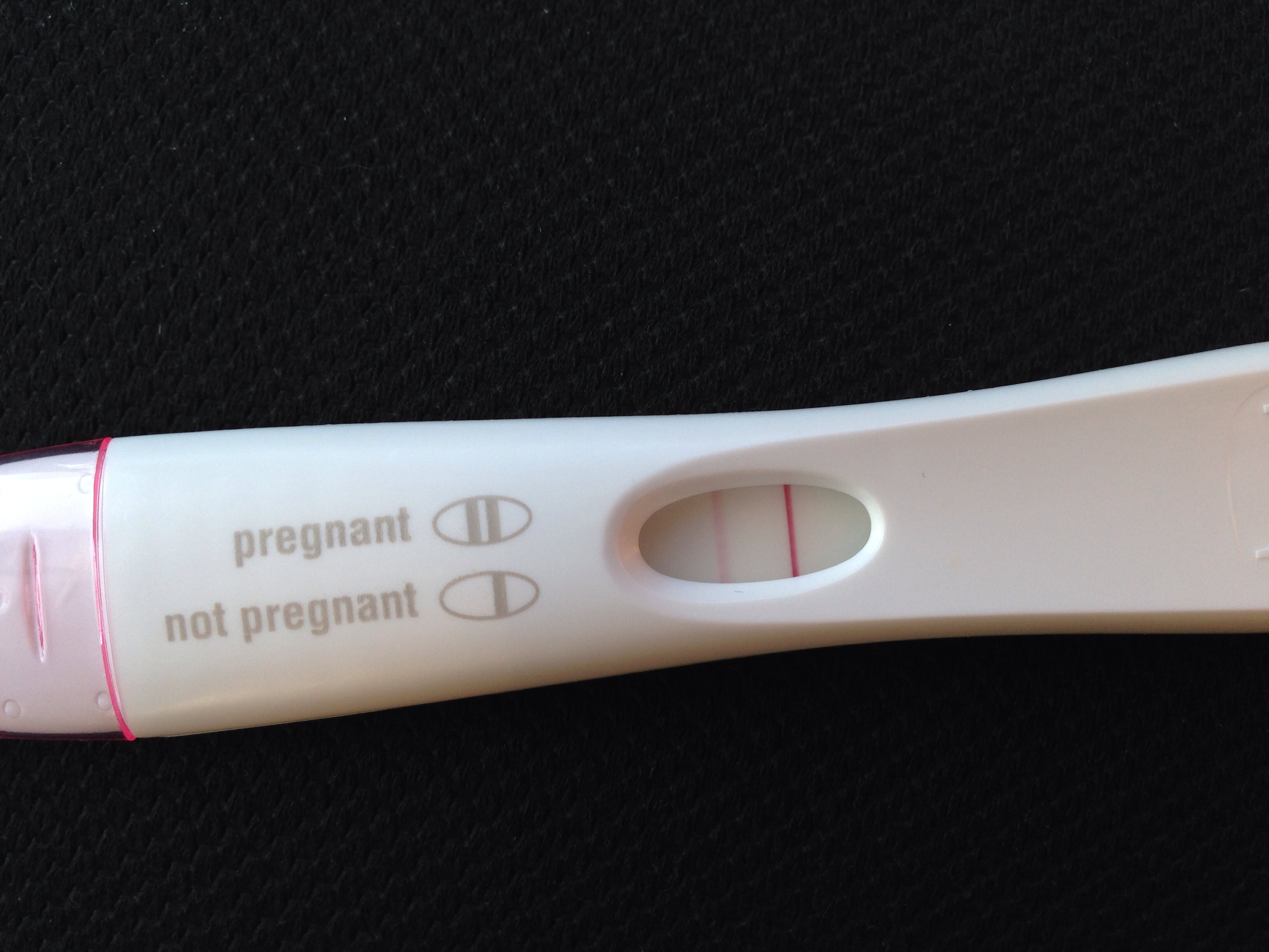 First Responsse Pregnancy